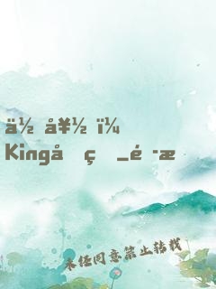你好，King先生